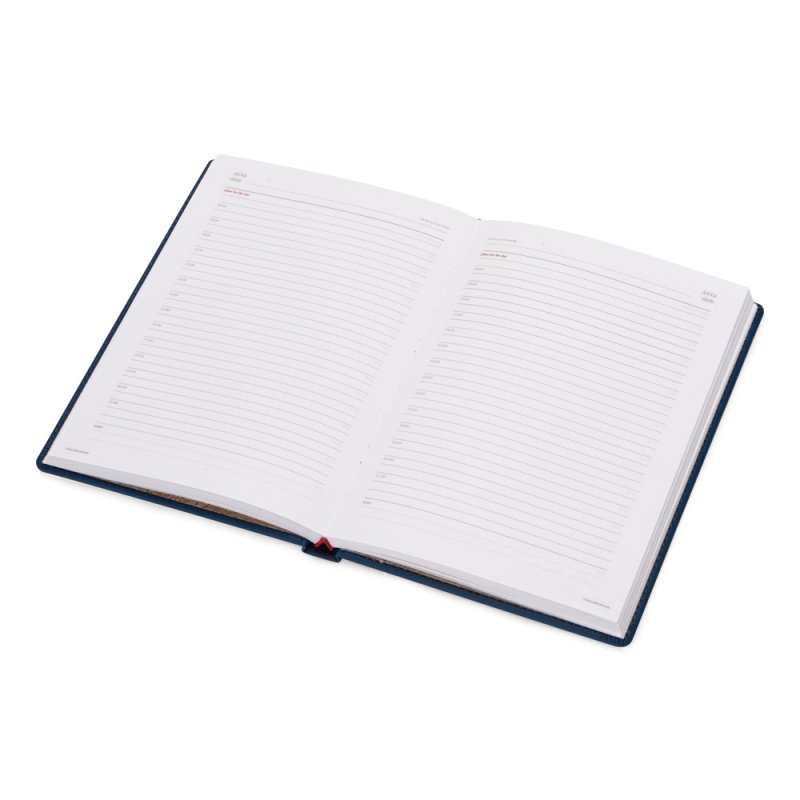 Ежедневник недатированный 