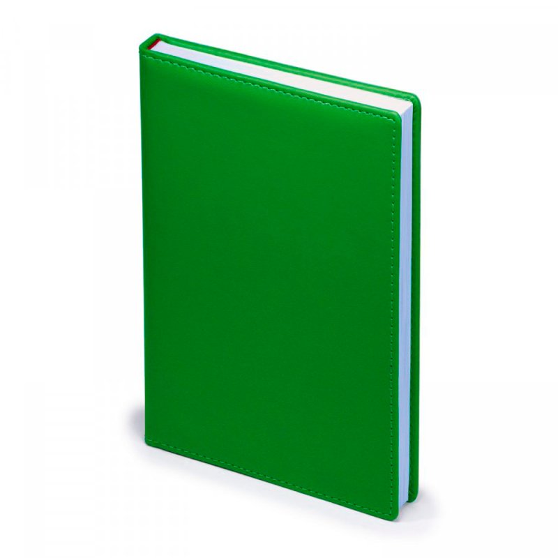 Ежедневник недатированный 