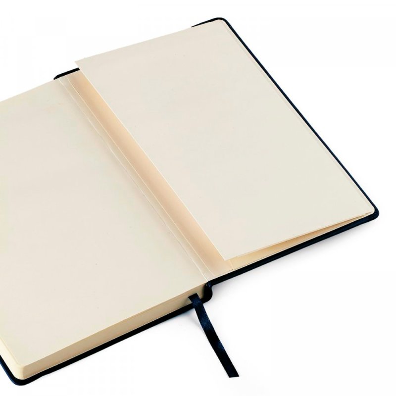 Ежедневник недатированный 