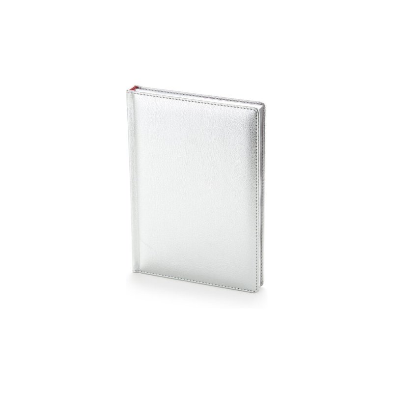 Ежедневник недатированный 