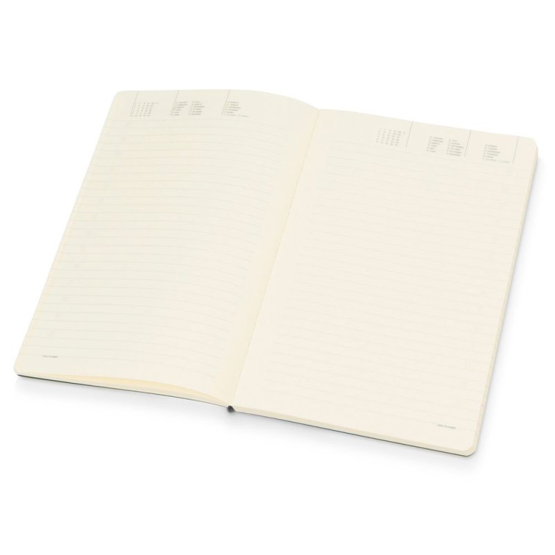 Ежедневник недатированный 