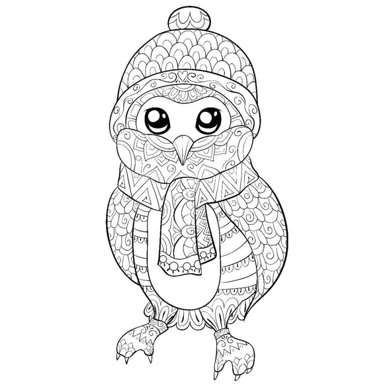 Книга-раскраска 