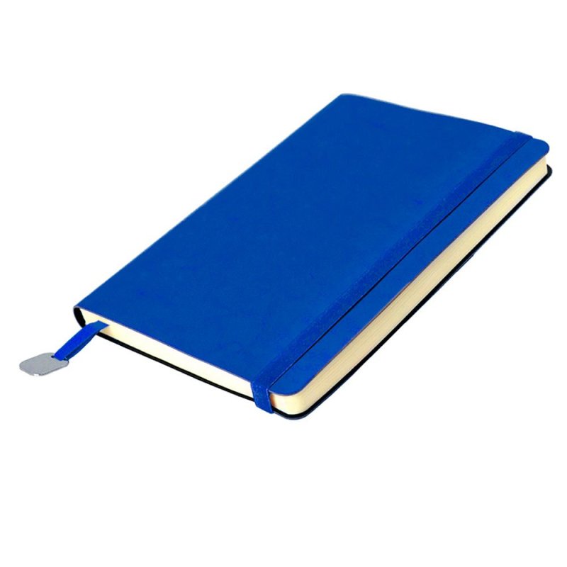 Ежедневник недатированный 