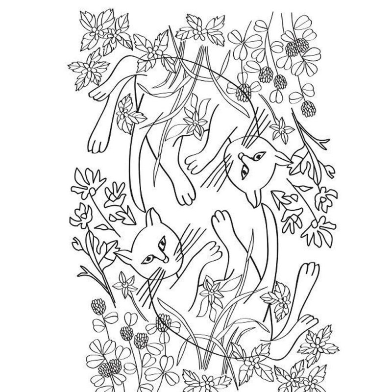 Раскраска-антистресс 