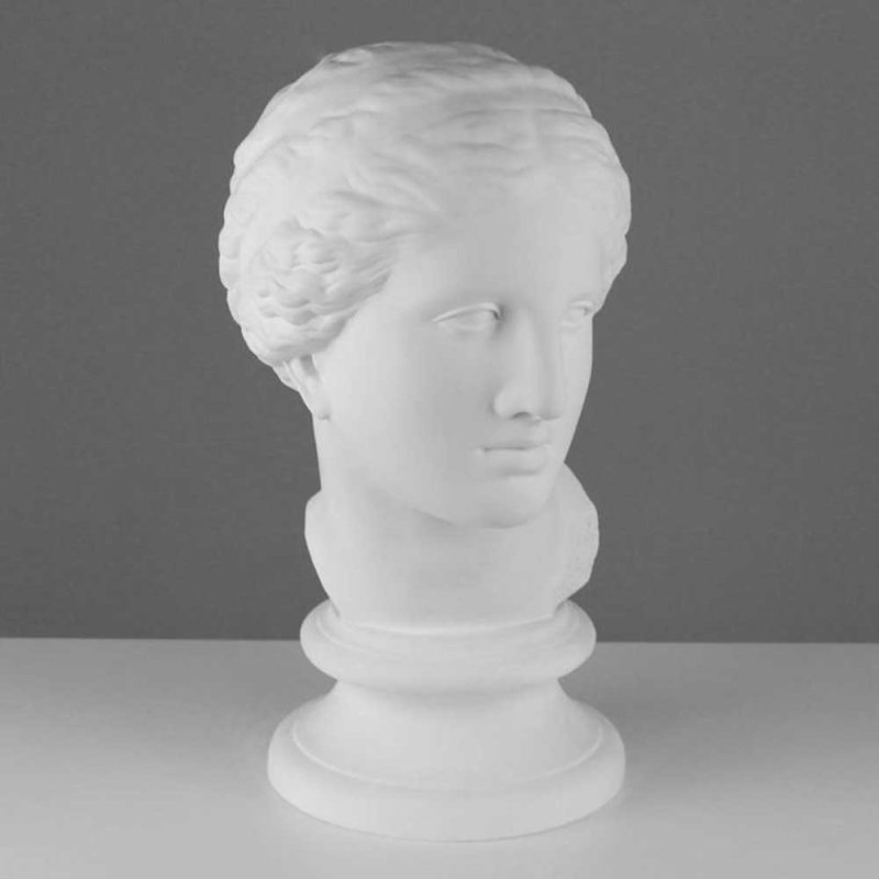 Гипсовая модель 