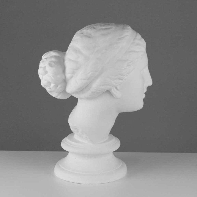 Гипсовая модель 