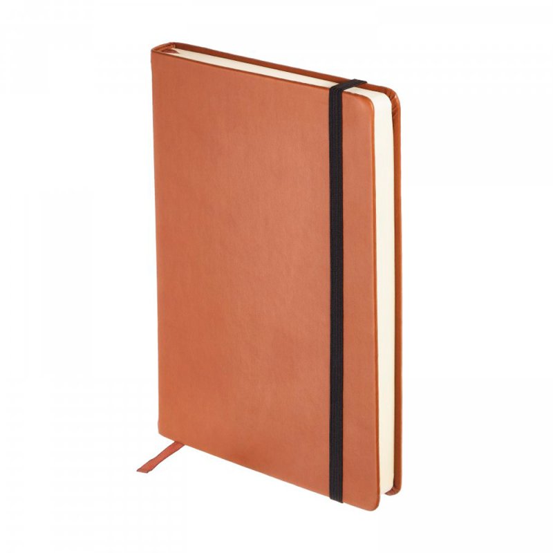 Ежедневник недатированный 