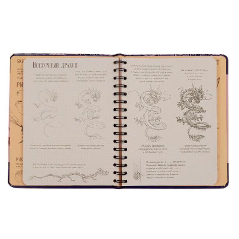 Скетчбук с уроками внутри 