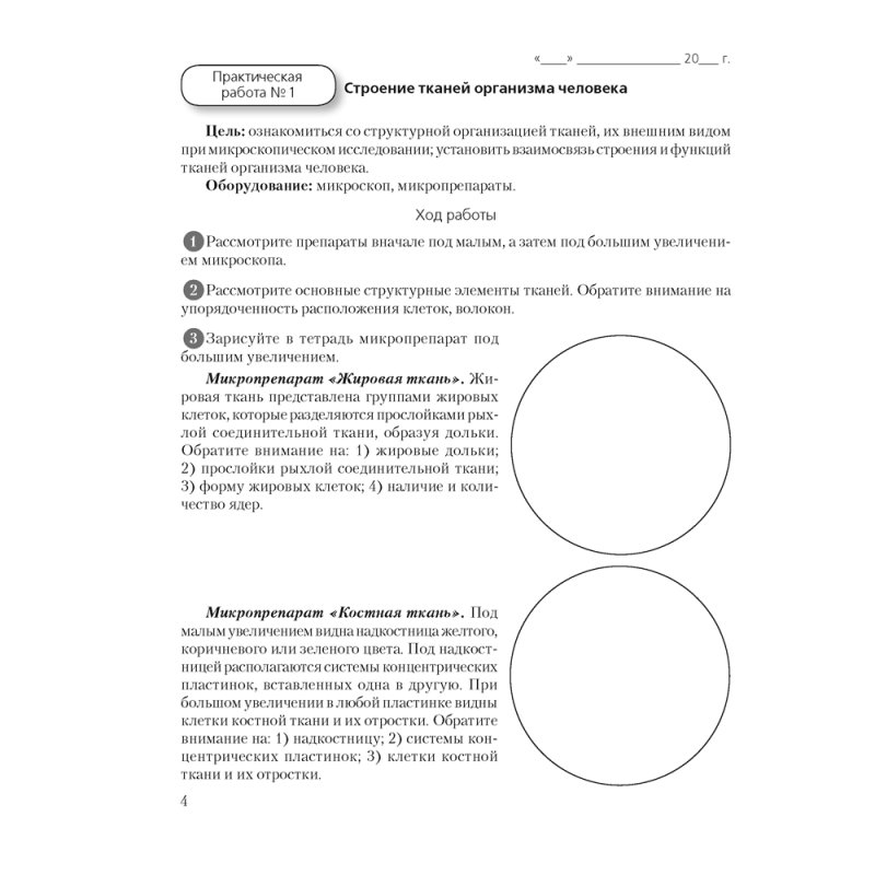 Биология. 9 класс. Тетрадь для лабораторных и практических работ, Борисов О.Л., Антипенко А.А., Аверсэв