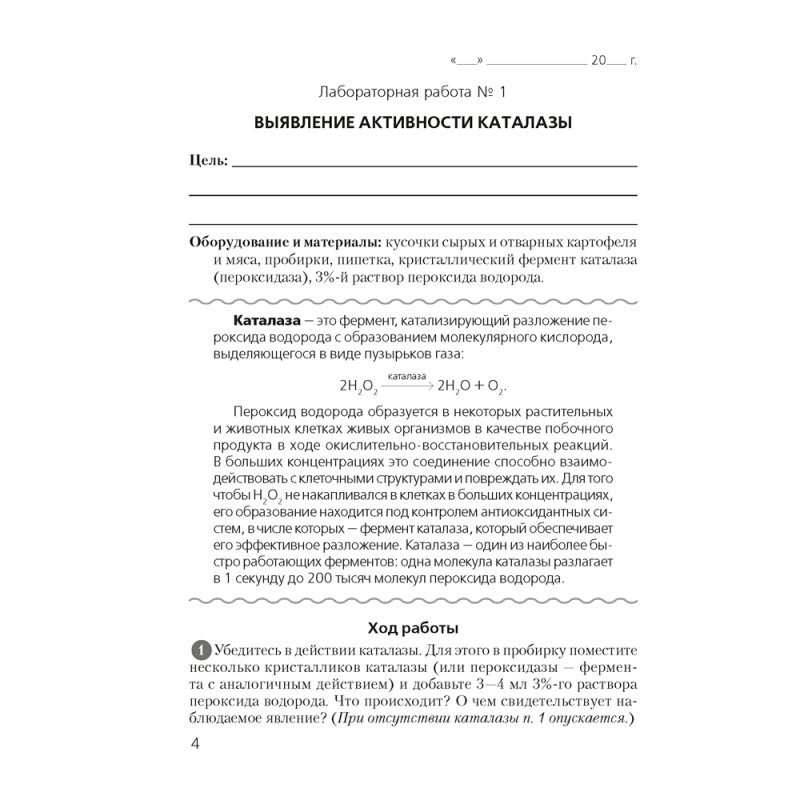 Биология. 11 класс. Тетрадь для лабораторных и практических работ (базовый уровень), Хруцкая Т.В., Аверсэв