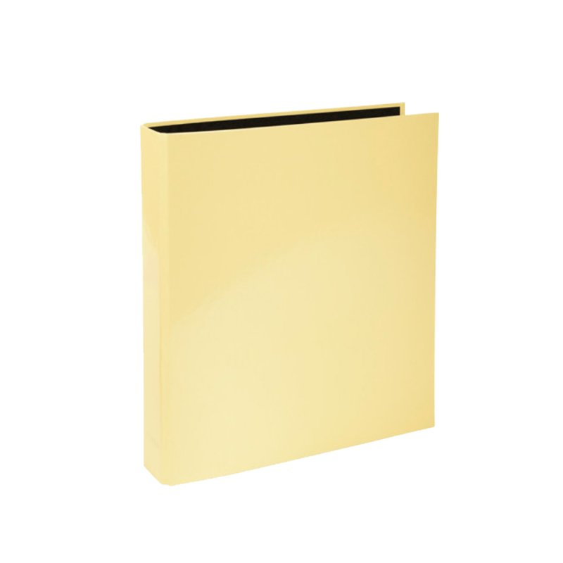 Папка на кольцах 