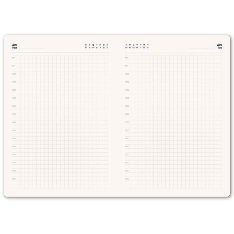 Ежедневник недатированный 