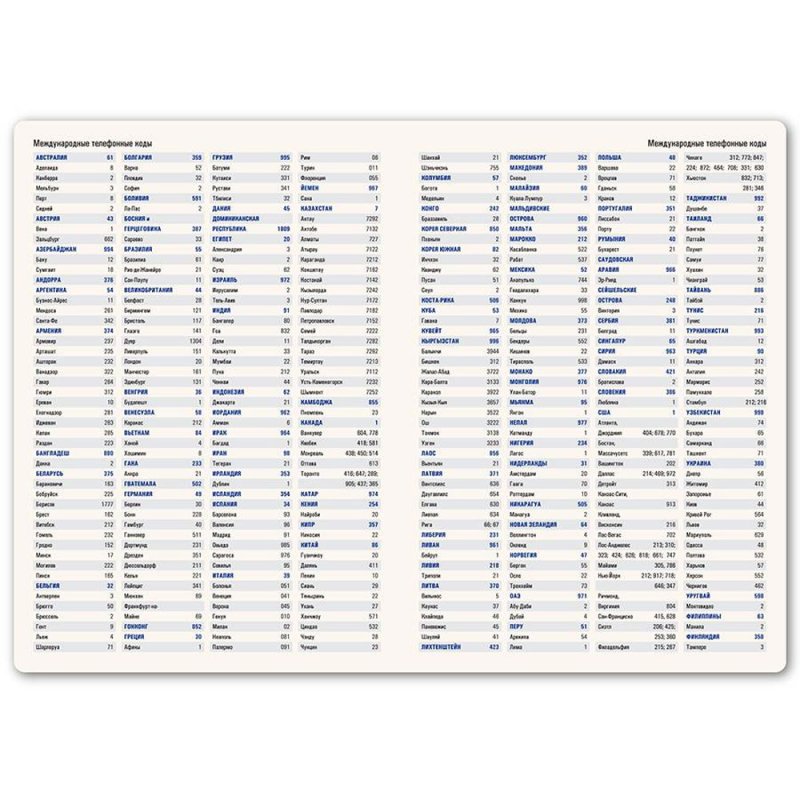 Ежедневник недатированный 