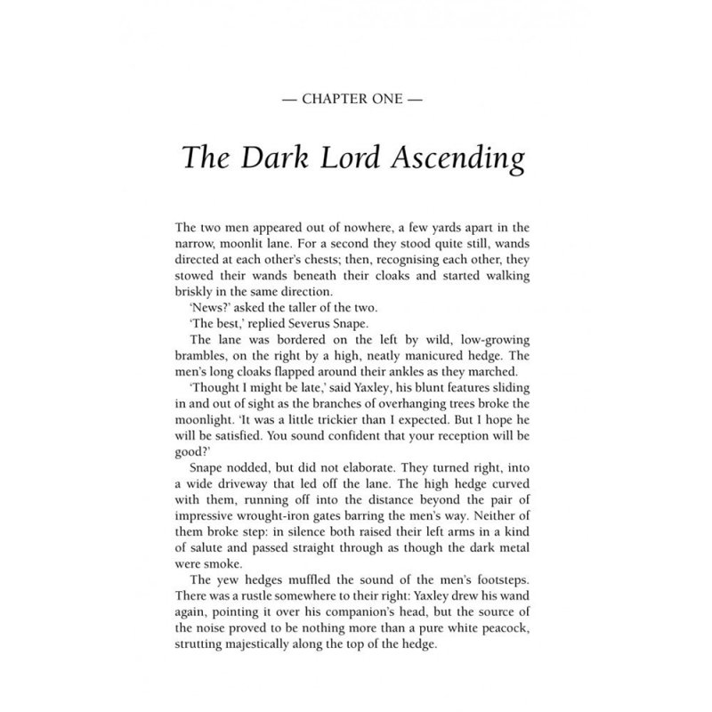 Книга на английском языке 