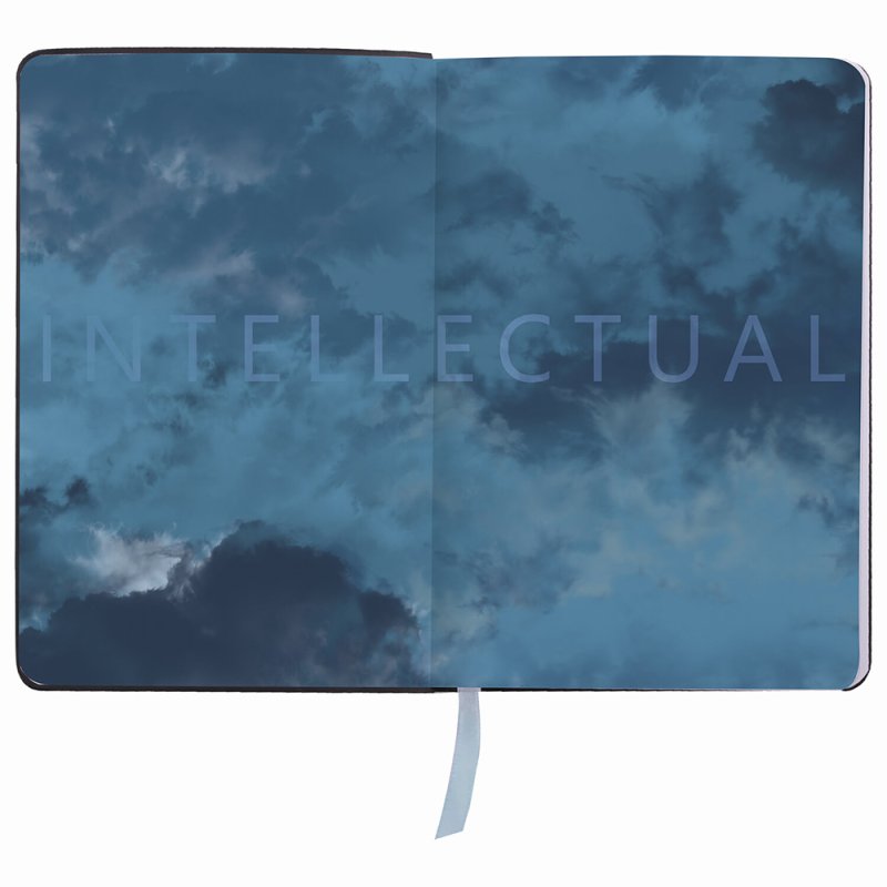 Ежедневник недатированный 