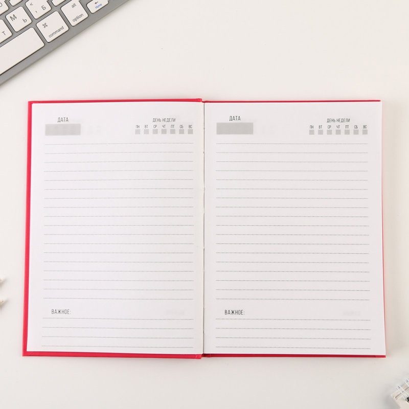 Ежедневник недатированный 