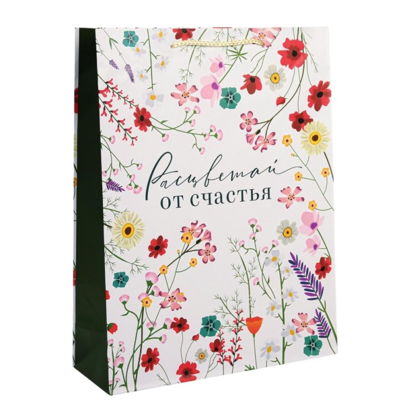 Пакет бумажный подарочный 