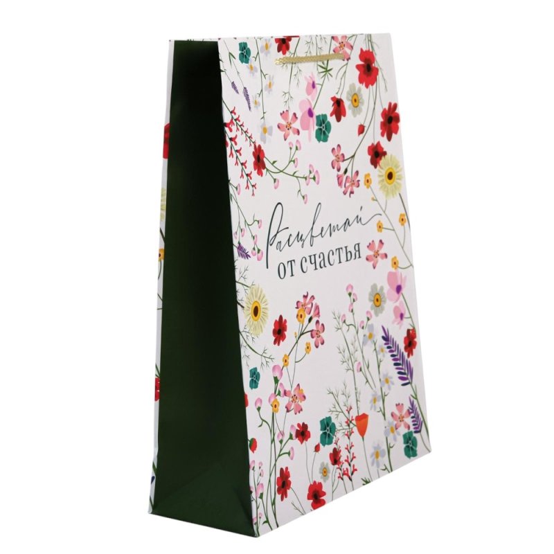 Пакет бумажный подарочный 