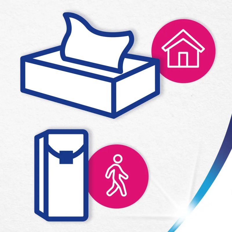 Бумажные носовые платочки Zewa Deluxe, 10 шт