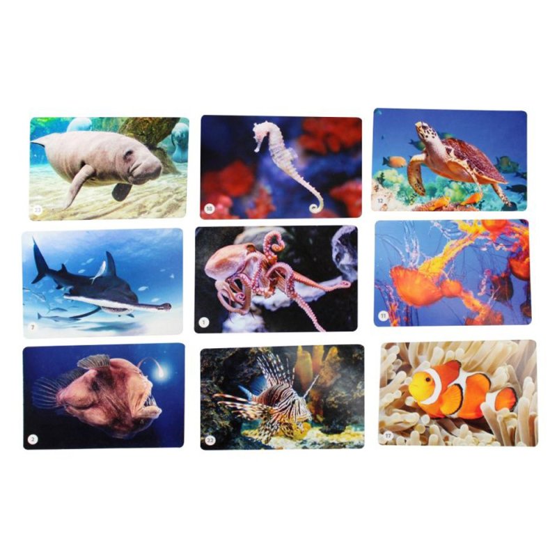 Игра настольная 