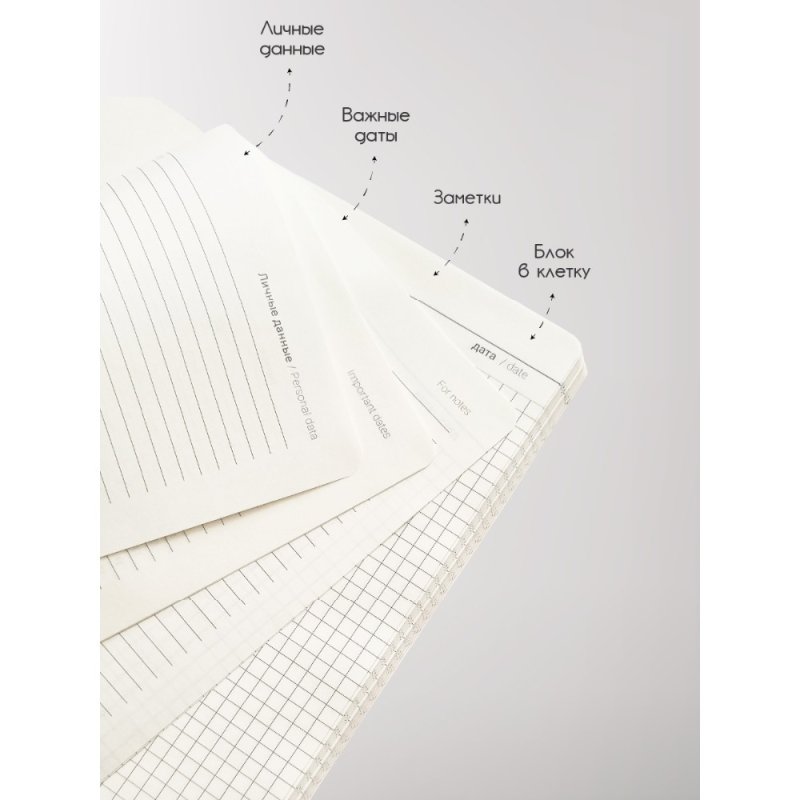 Книга записная InFolio 