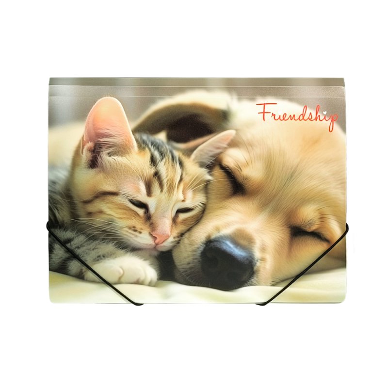 Папка на резинках 