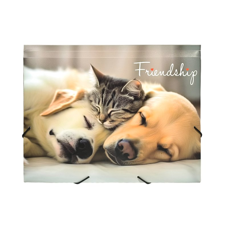 Папка на резинках 