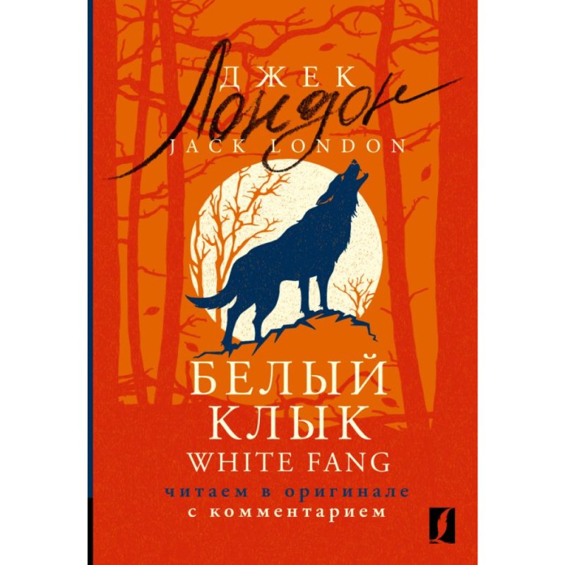 Книга на английском языке 