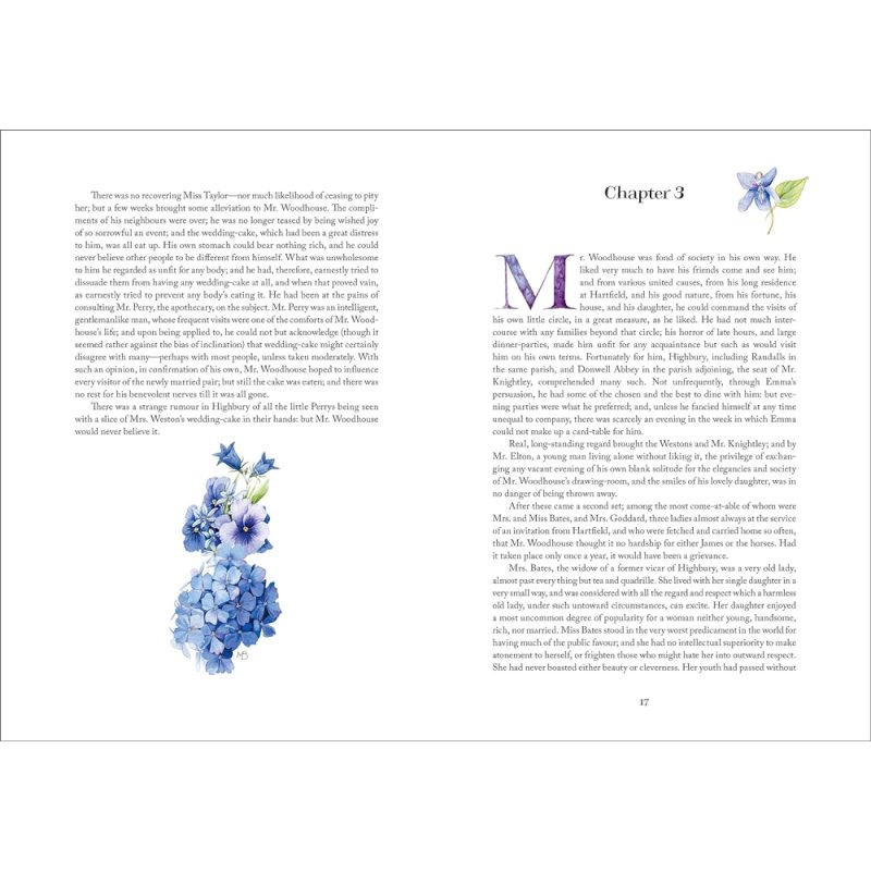 Книга на английском языке 