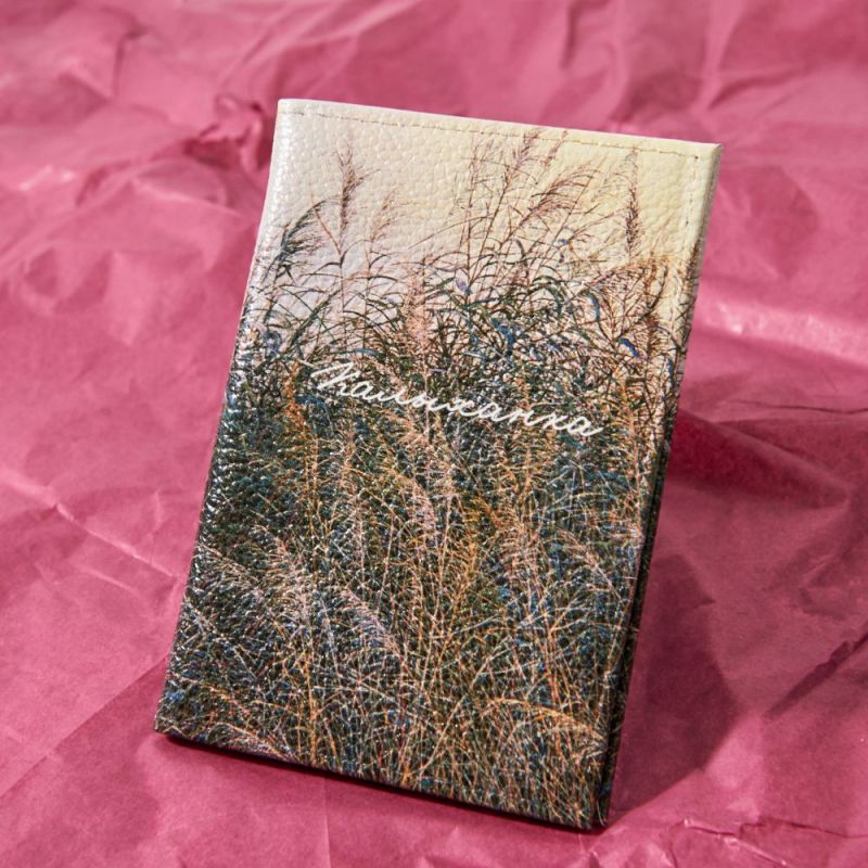 Обложка для паспорта 