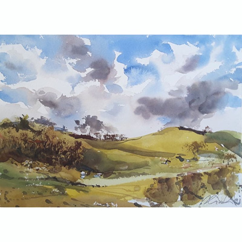 Краски акварельные Daniel Smith 