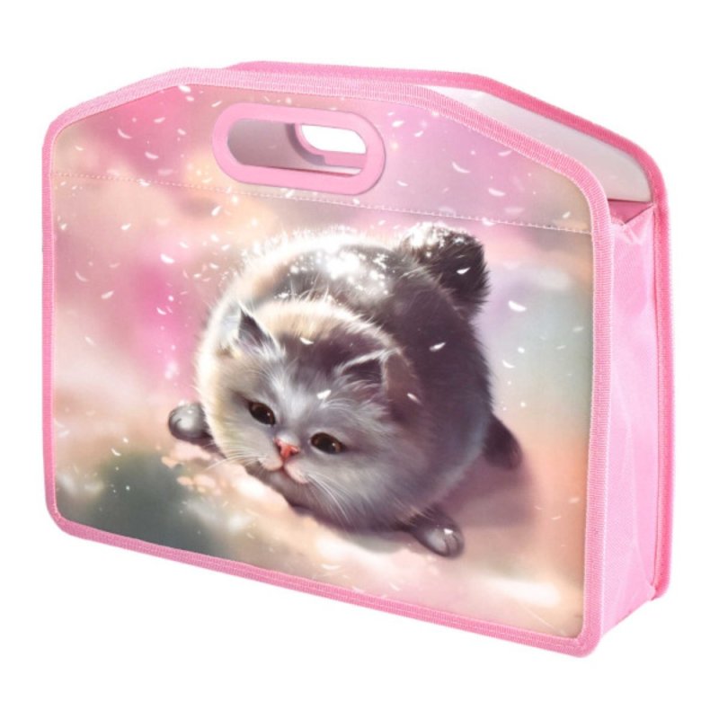 Папка для тетрадей с ручками 