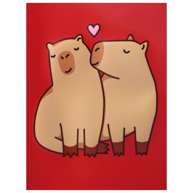 Обложка для паспорта 