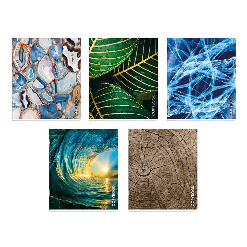 Тетрадь Феникс+ 