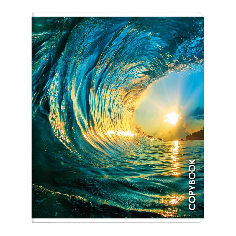 Тетрадь Феникс+ 