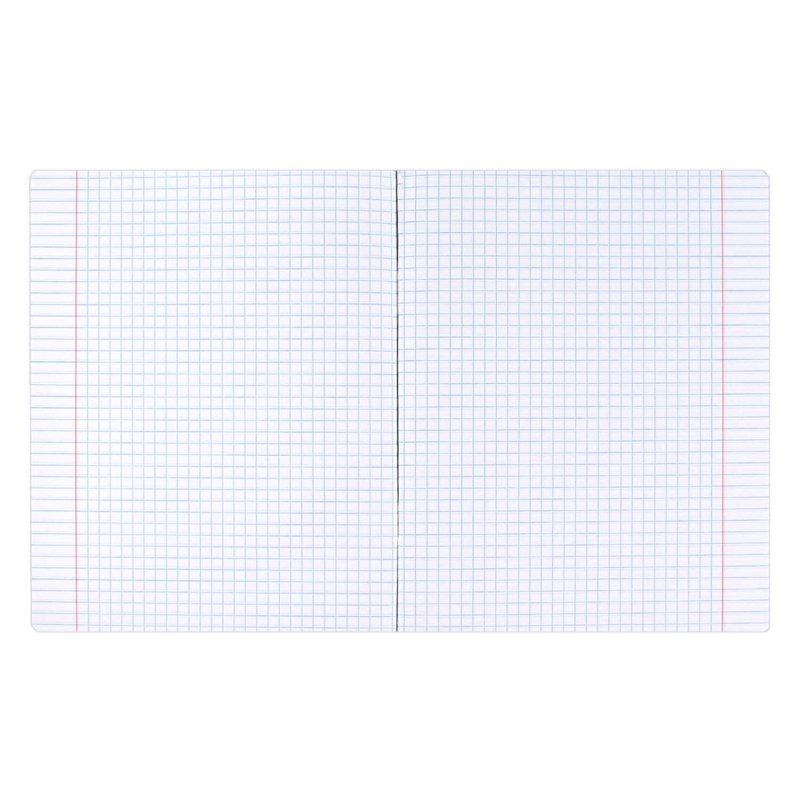 Тетрадь Феникс+ 