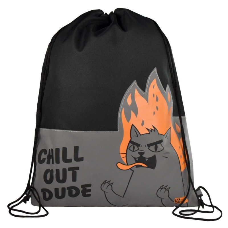 Мешок для обуви Феникс+ 