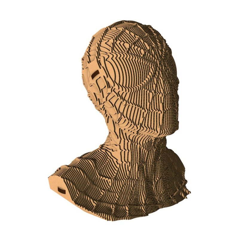 Пазл картонный 3D 