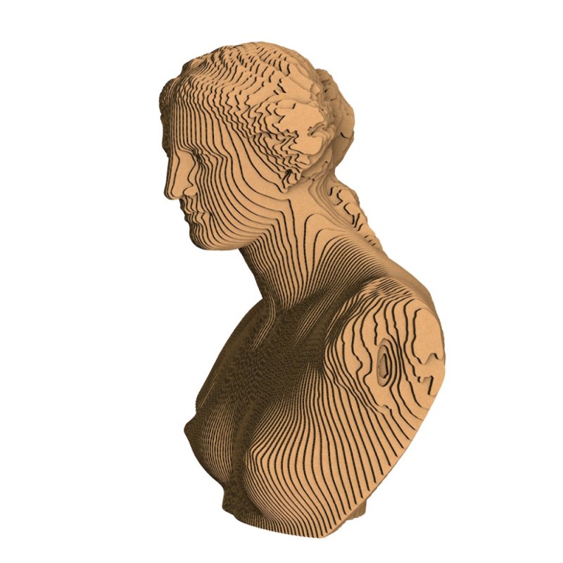 Пазл картонный 3D 