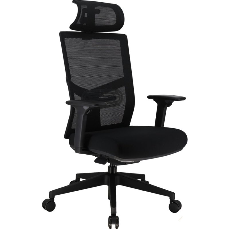 Кресло для руководителя EVERPROF Fuji сетка, черный