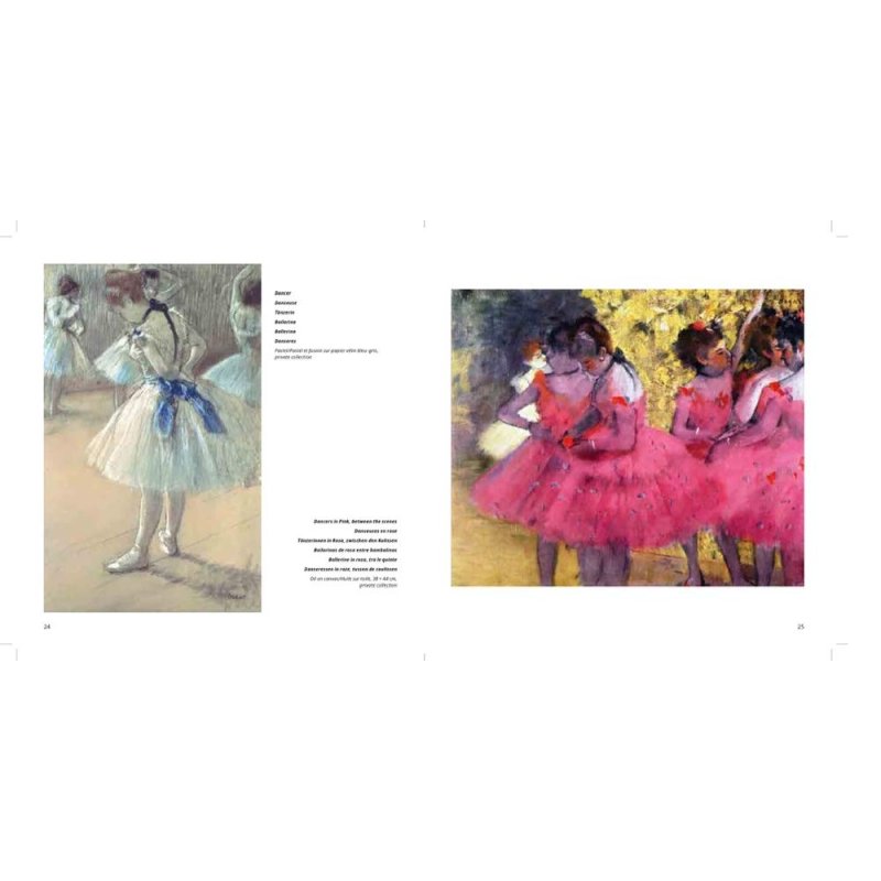 Книга на иностранном языке 