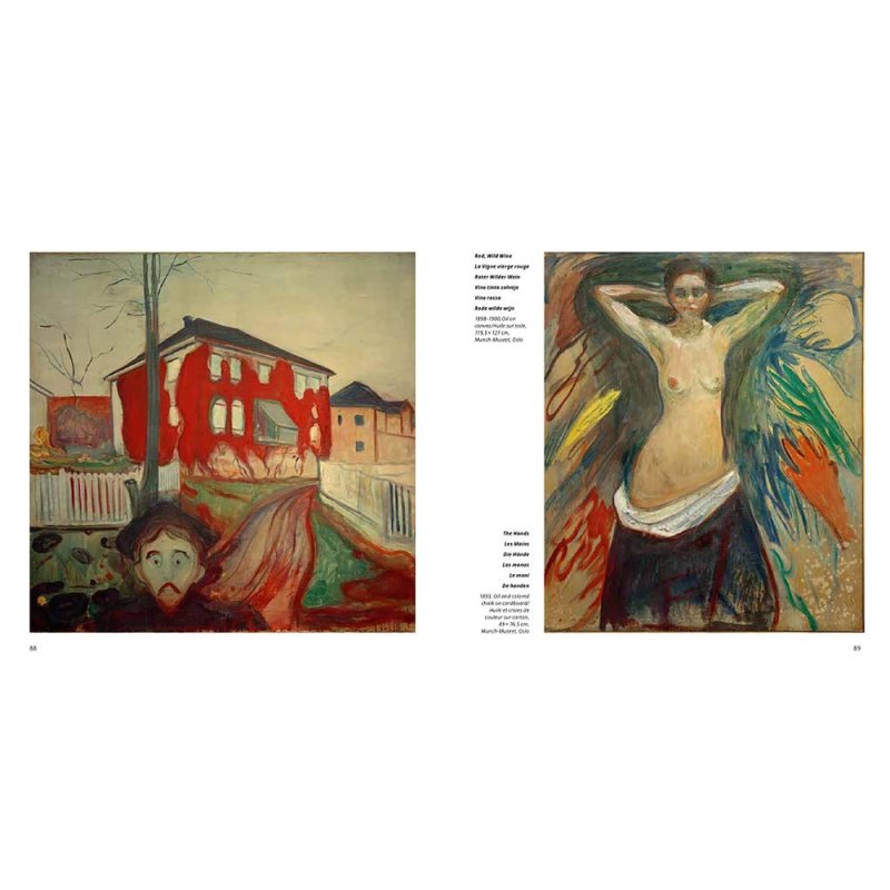 Книга на иностранном языке 