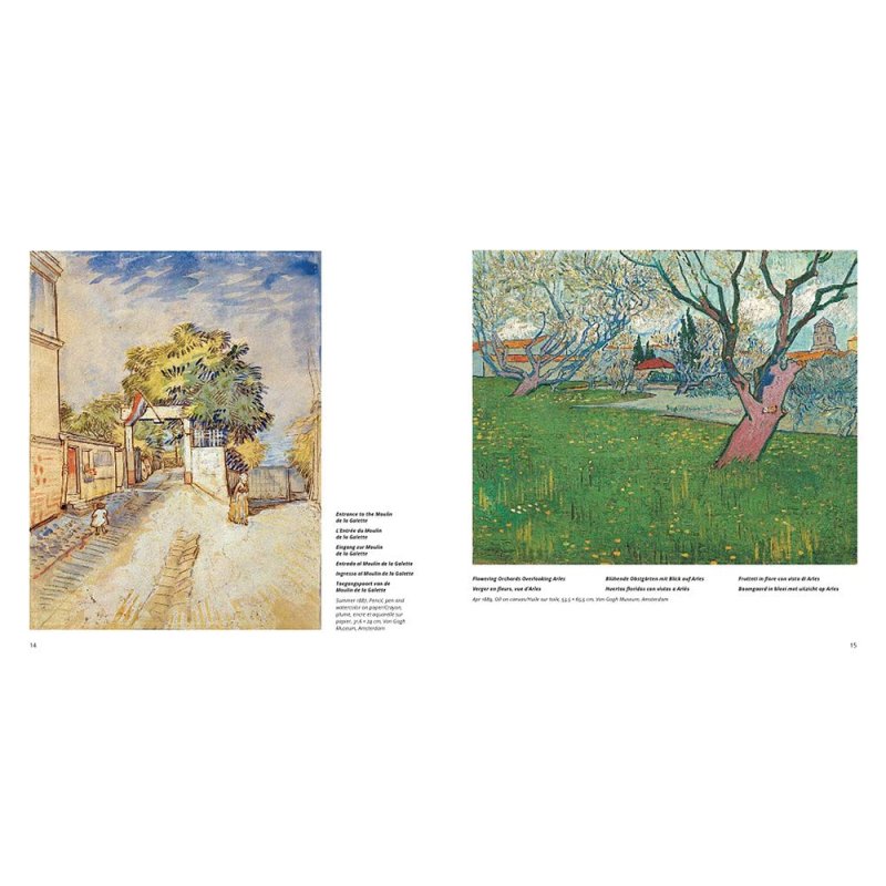 Книга на иностранном языке 