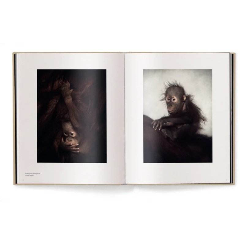 Книга на английском языке 