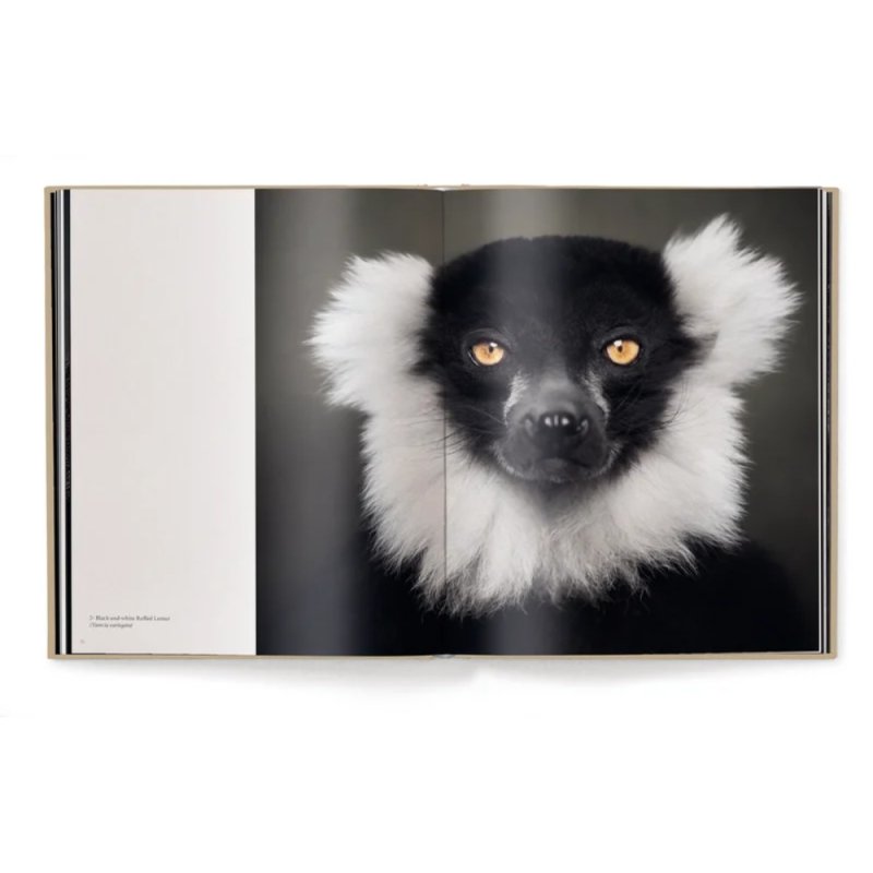 Книга на английском языке 