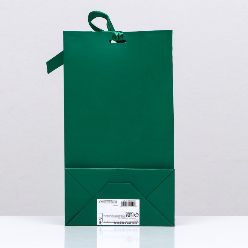 Пакет бумажный подарочный 13*23*7 см 