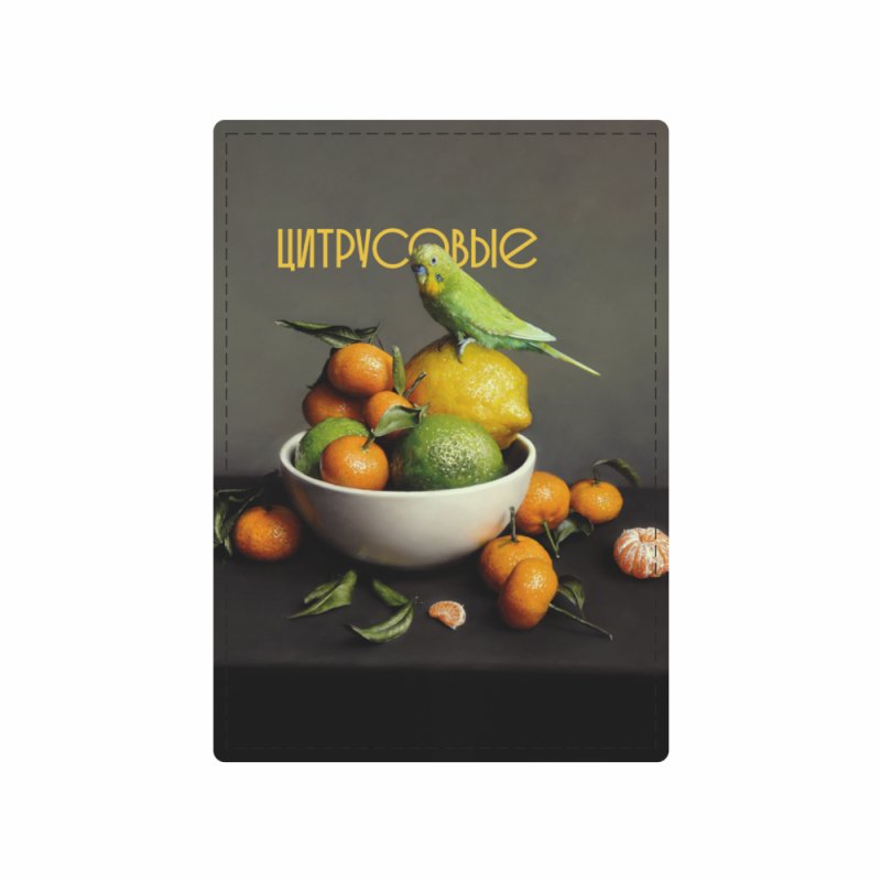 Чехол для карт 