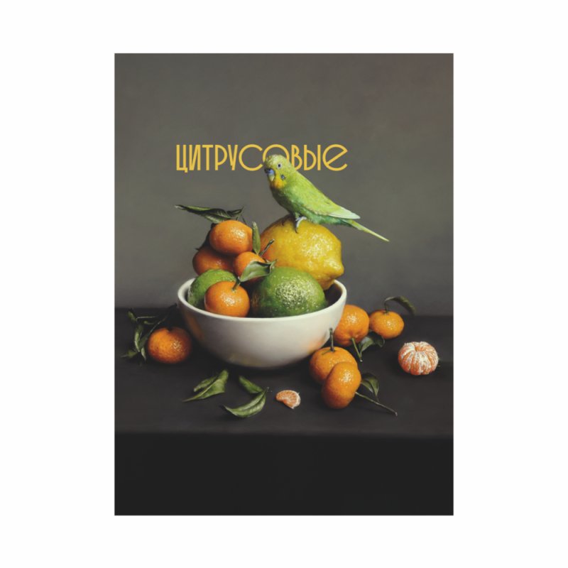 Чехол для карт 