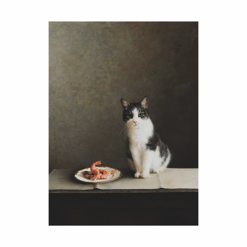 Чехол для карт 