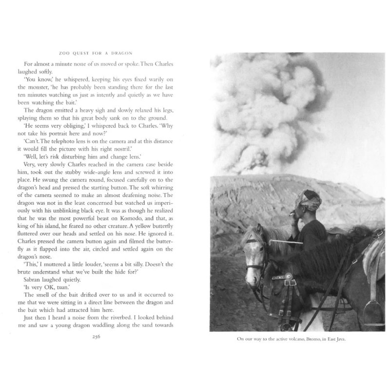 Книга на английском языке 